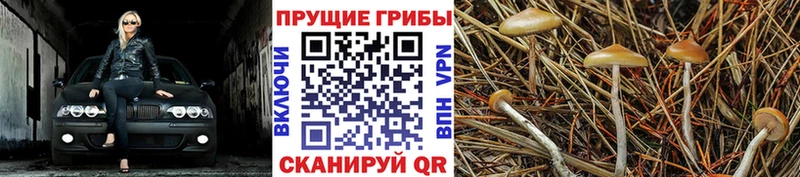 Галлюциногенные грибы GOLDEN TEACHER  Юхнов 